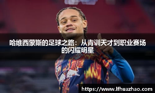 开云电竞